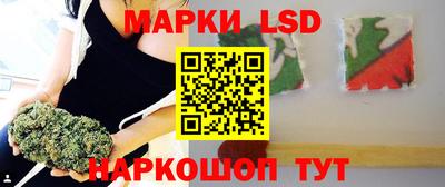 ALPHA PVP Новозыбков