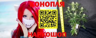 индика Новокубанск