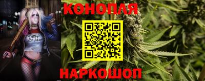 индика Новокубанск