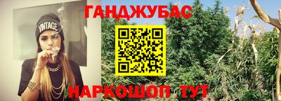 индика Новокубанск