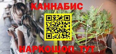 a pvp Новодвинск