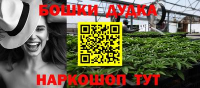 a pvp Новодвинск