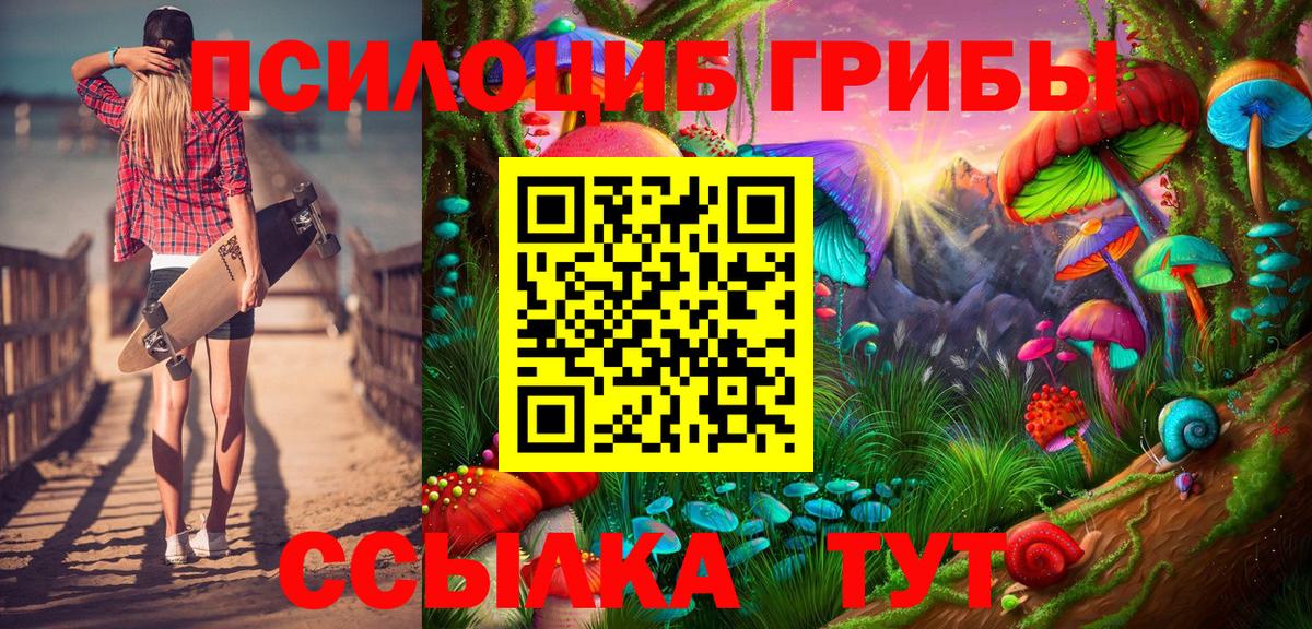 Улан-Удэ  Псилоцибиновые грибы MAGIC MUSHROOMS  где купить наркоту  Вход с VPN  Псилоцибиновые грибы Psilocybe 